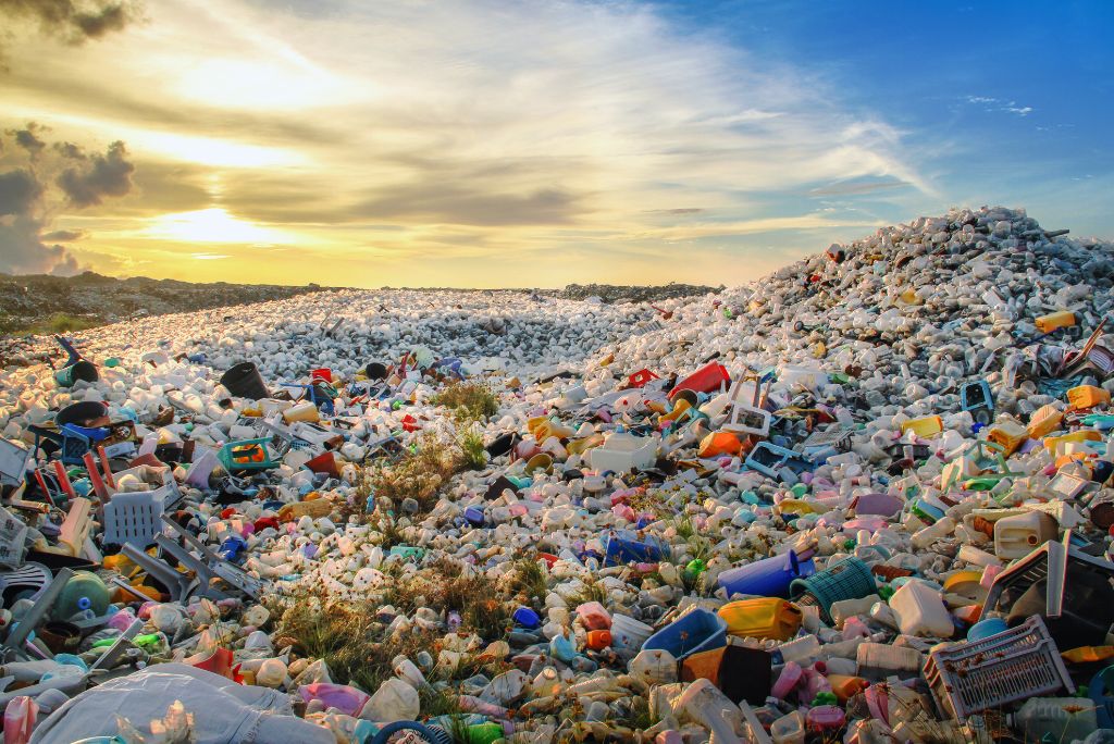 How Do Organic Materials of Solid Waste Decompose Naturally?